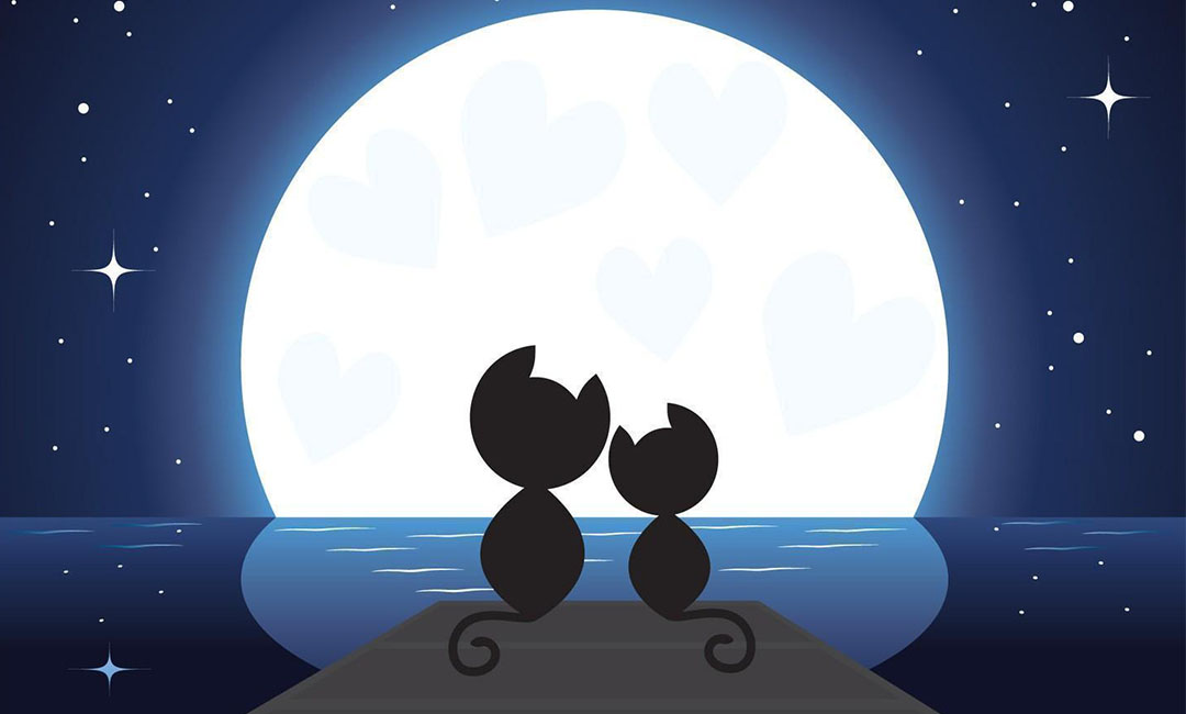 广东潮客汇微信活动策划案例